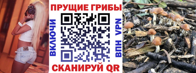 Псилоцибиновые грибы GOLDEN TEACHER  где продают наркотики  Монино 
